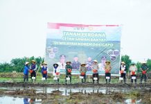 Herman Deru Yakin Banyuasin Penghasil Gabah Nomor 1 Nasional