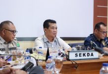 Muba Siapkan Strategi Baru Tingkatkan PAD di Tengah Penurunan DBH